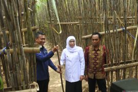 Gubernur Jawa Timur meluncurkan KUR petani tebu