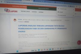 Koalisi STuEB laporkan 15 kejahatan lingkungan 8 PLTU di Sumatera