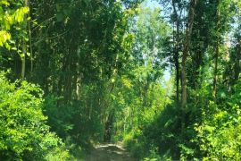 Warga Kalirejo Kulon Progo berharap jalan Sangon-Plampang diperbaiki