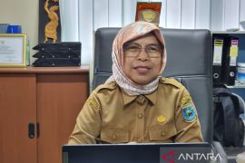 Papua Barat butuh 141.100 kelambu insektisida untuk tiga kabupaten