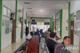 Kasus DBD di Kabupaten Batanghari menurun selama empat bulan