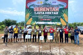 PT Globalindo Alam Perkasa tanam jagung dukung program pemerintah untuk swasembada pangan nasional