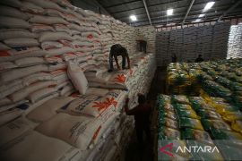 FOTO - Serapan beras petani hingga Mei 2025 di Aceh