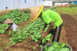 Ditjenpas ubah stigma Lapas jadi aktif dan produktif