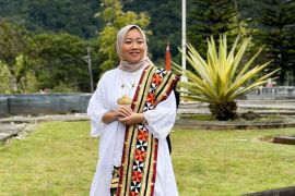 Ketua Fraksi PDI-Perjuangan minta sosialisasi pemutihan pajak dengan informasi jelas