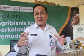 Pemkab Malang genjot produksi kopi untuk lokal kejar potensi ekspor