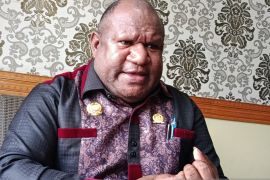 DPRP Pegunungan mendorong percepatan pembangunan KIPP