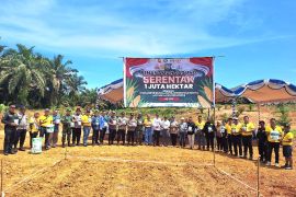 PT Maju Aneka Sawit tanam jagung dukung pemerintah wujudkan swasembada pangan