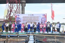 Ditpolairud Polda Kalsel bagikan 170 ribu benih ikan nila di Batola dukung Asta Cita