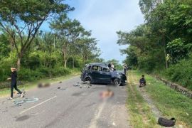 Tiga orang tewas akibat kecelakaan tunggal di Gunung Kayangan Pelaihari