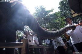 Menteri Lingkungan Hidup tinjau Kebun Binatang Surabaya