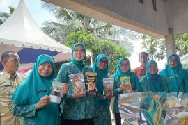 Wabup: Dasawisma pilar penting pemberdayaan masyarakat