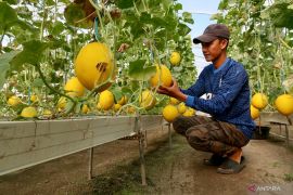 Pengembangan desa wisata di Lombok Barat dimaksimalkan