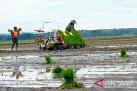 WPI tegaskan komitmen terhadap lingkungan dalam aktivitas operasional