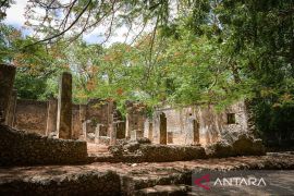 UNESCO serukan peningkatan perlindungan situs warisan di Afrika
