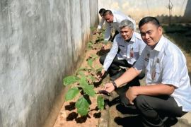Rutan Baturaja latih warga binaan dengan keterampilan bercocok tanam