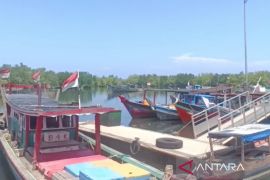 Pemkot Bengkulu imbau nelayan tidak tangkap benih bening lobster