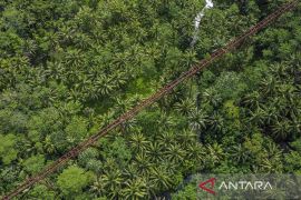Jembatan kereta api terpanjang di Jawa Barat dan rencana reaktivasi jalur KA senilai Rp15 Triliun