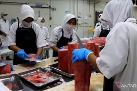 Mendag melepas ekspor tuna asal Sumbar ke UEA senilai Rp1,87 miliar