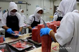 Mendag lepas ekspor tuna asal Sumbar ke UEA senilai Rp1,87 miliar
