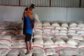Bulog Indramayu serap 81.386 ton setara beras hingga Mei