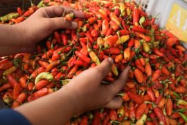 Harga pangan: Daging ayam Rp36.038/kg, cabai rawit Rp65.000/kg