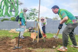 Penjabat Wali Kota Banjarbaru tanam pohon di Taman Suroboyo
