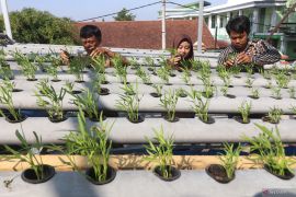 Pelatihan wirausaha aquaponik untuk pelajar