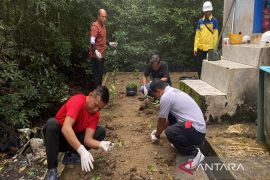 Pelindo Batulicin manfaatkan lahan kosong guna dukung ketahanan pangan