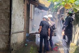 29 orang warga Cianjur terserang chikungunya, tiga diantaranya dirawat di RS