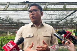 Wamentan pastikan stok dan harga pangan terkendali jelang Idul Adha