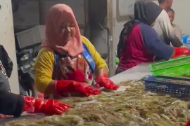 Aksi boikot di tengah lonjakan PHK ciptakan situasi dilematis, Kemnaker siapkan langkah mitigasi