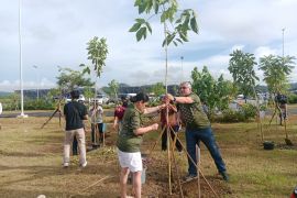 Delegasi IGS tanam pohon di kawasan Sirkuit Mandalika