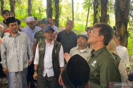 Menhut tinjau lahan aren di Garut untuk dukung produksi bioetanol