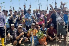 Kalsel kemarin dari  program YESS hingga penanaman mangrove