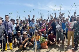 Dislautkan Kalsel tanam 113 ribu mangrove pulihkan ekosistem pesisir