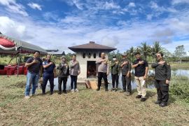 Karantina musnahkan unggas tak berdokumen di Papua