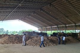 30 pabrik tapioka di Lampung ikuti Instruksi Gubernur soal harga ubi kayu