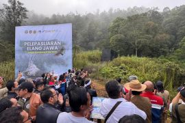 Forestry Minister releases two Javan eagles into the wild