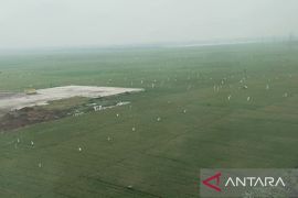 Anggota DPR mengkhawatirkan berkurangnya lahan sawah dan hutan Karawang