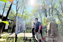 Kalsel kemarin dari  konservasi Bekantan hingga keluarga bermutu