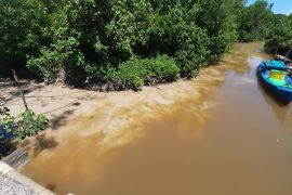 Penambangan pasir ilegal diduga cemari Sungai Pangkalan Buton