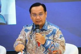 Ombudsman sebut Badan Sawit Nasional bisa benahi tata kelola industri sawit