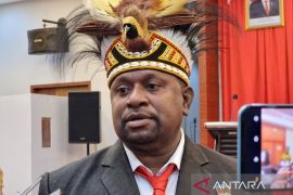 MRPB minta pemda di Papua Barat sediakan beasiswa pendidikan dokter