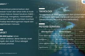 PEMA  targetkan 100 ribu hektare untuk kawasan pengembangan karbon