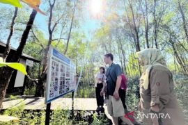 Japan expert studies bekantan conservation on Curiak Island