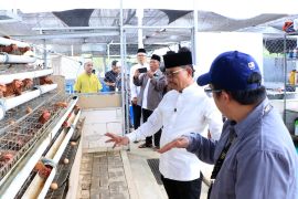 Pemkot Tangerang dukung pengembangan kawasan food estate basis wisata