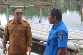 Cegah global warming, Pemprov Kepri target tanam 50 hektare mangrove per tahun