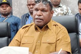 Pemkab Jayawijaya mendorong pembentukan perda perlindungan kawasan hutan