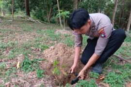 Polres Lingga lestarikan lingkungan tanam 250 pohon Jengkol di lahan kosong